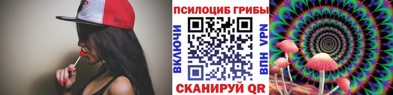 Купить  Иноземцево  Галлюциногенные грибы Magic Shrooms 